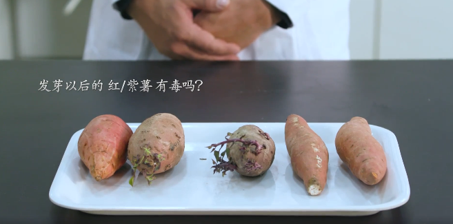 红薯、紫薯发芽以后会有毒吗？还能吃吗？