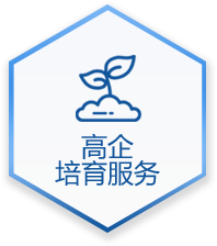 高企培育服务