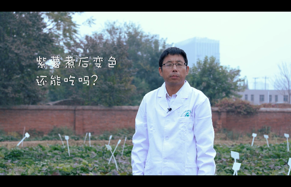  紫薯煮后变色还能吃吗？